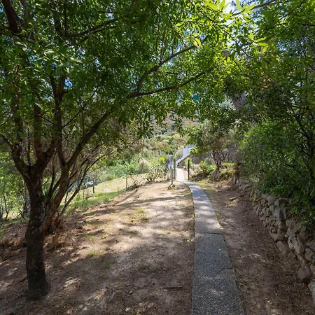 Casa Panoramica Bouganville Tatil Evi