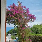 Casa Panoramica Bouganville Prázdninový dům SantʼAndrea