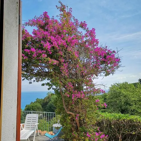 Casa Panoramica Bouganville 펜션 SantʼAndrea