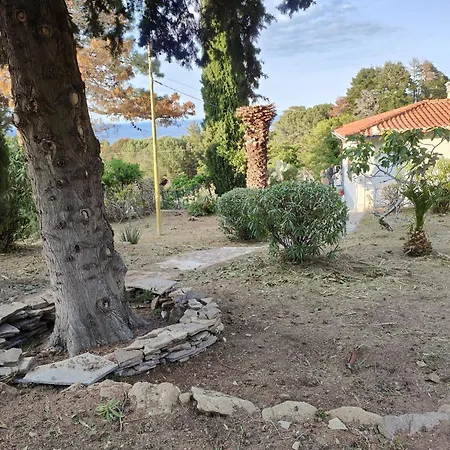 Casa Panoramica Bouganville * SantʼAndrea