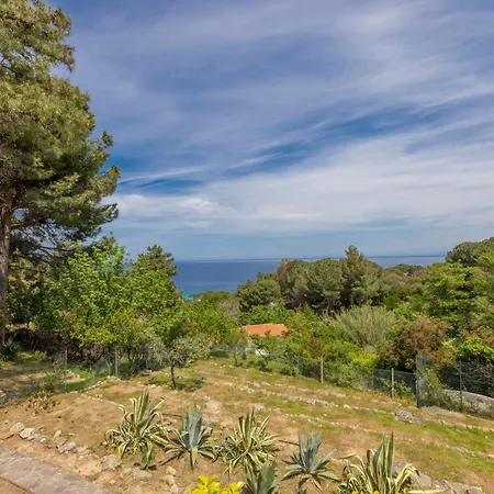 Casa Panoramica Bouganville 펜션 *