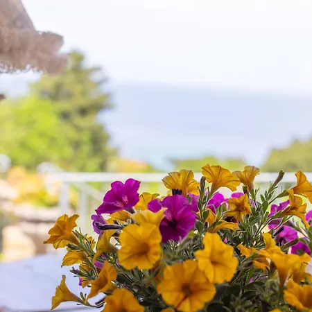 Casa Panoramica Bouganville